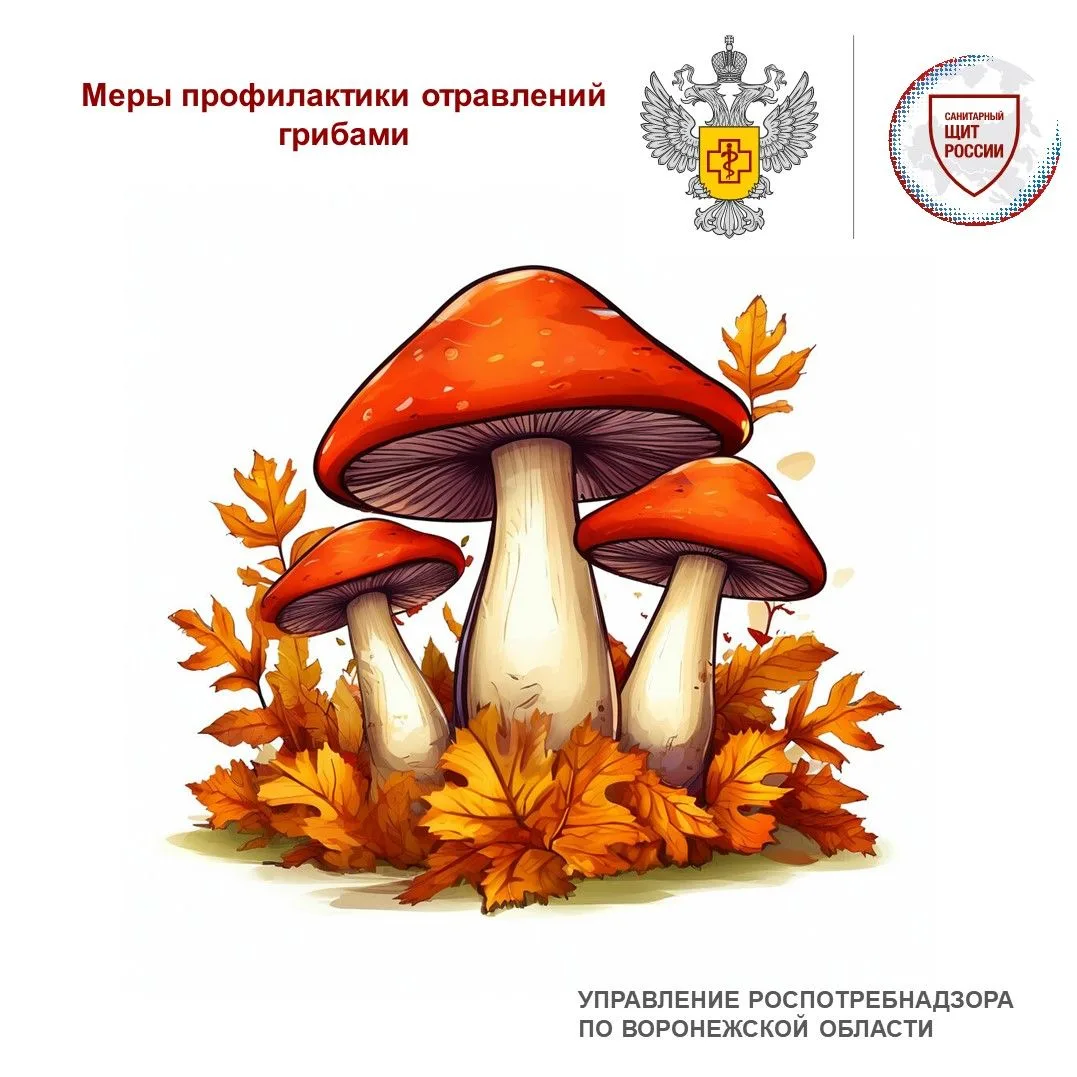 Отравления грибами могут вызывать как ядовитые грибы (бледная поганка, мухоморы), так и...