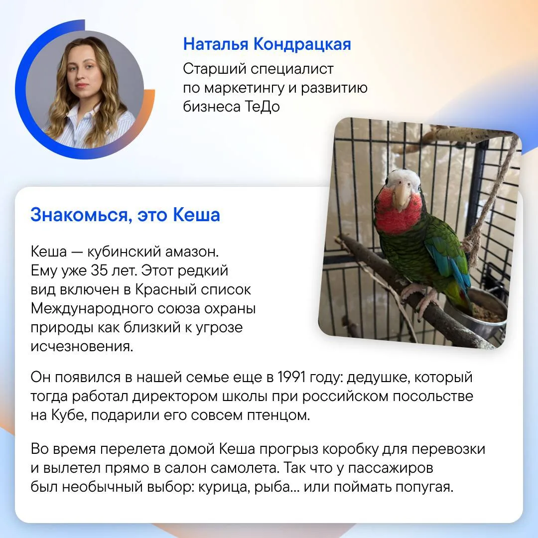 Кажется, мы нашли самых необычных домашних питомцев сотрудников ТеДо.