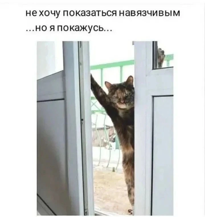 😃😃😃