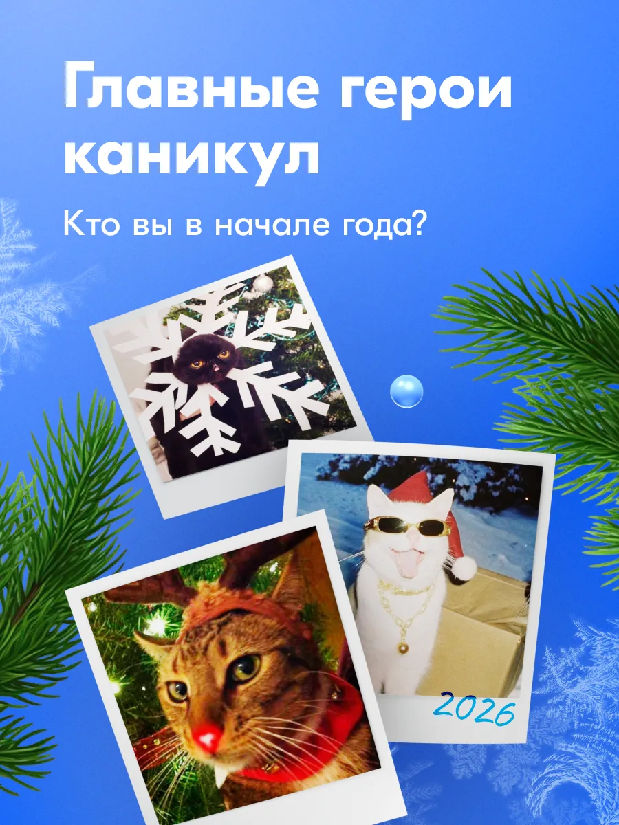 Готовы провести год так, как встретили?  Обсуждали, кто как проведёт новогодние каникулы — команда р