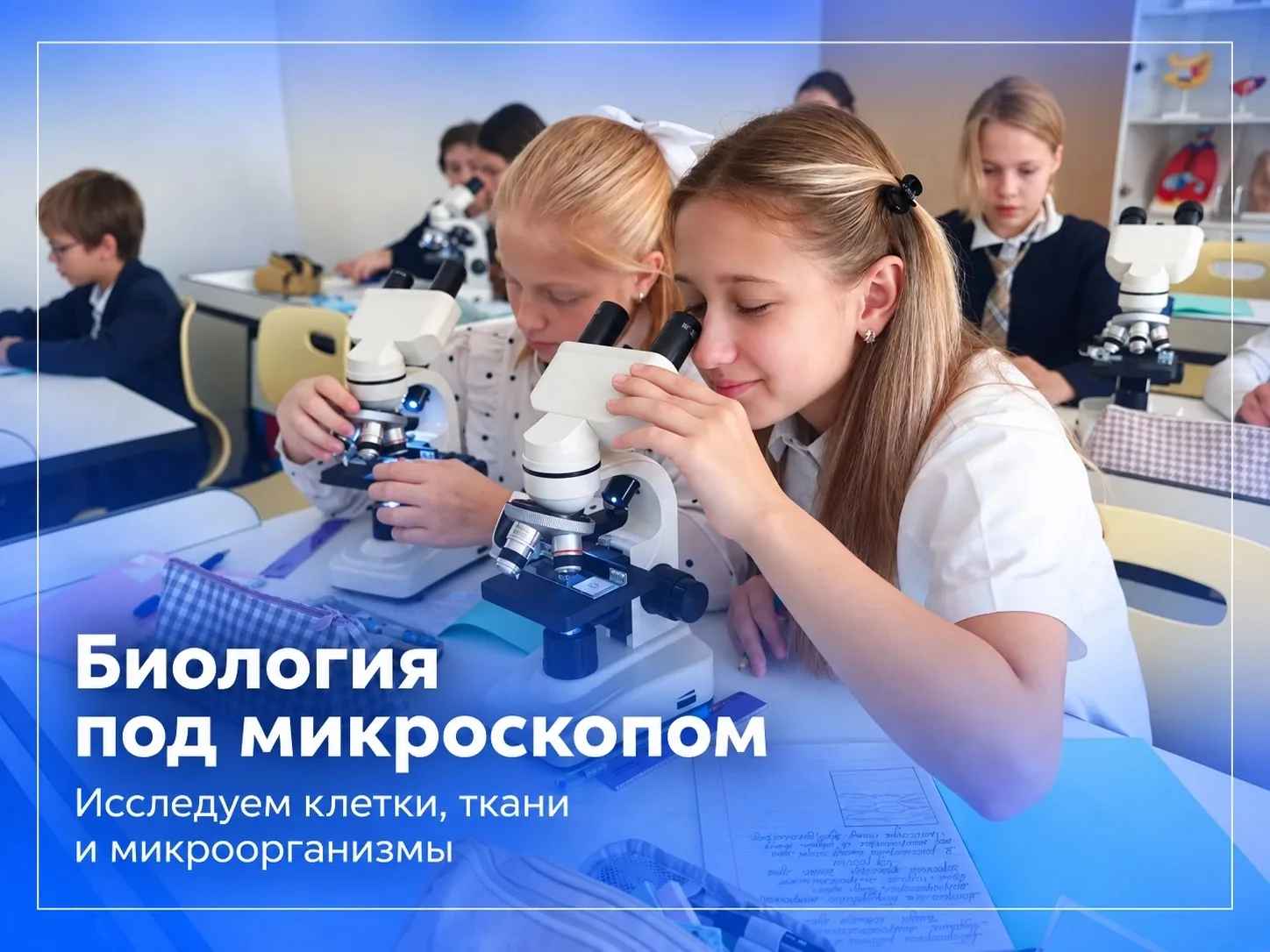 🔬 Биология под микроскопом: исследуем то, что не видно невооружённым глазом