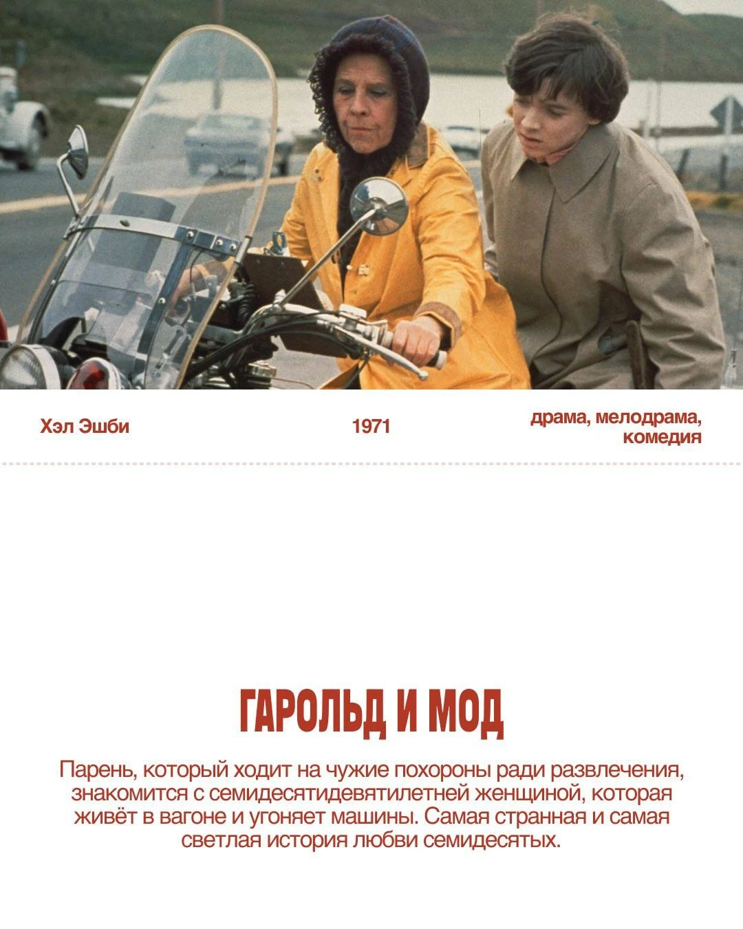Осень уже в самом разгаре, и её давно пора начать романтизировать! 🍂☕️