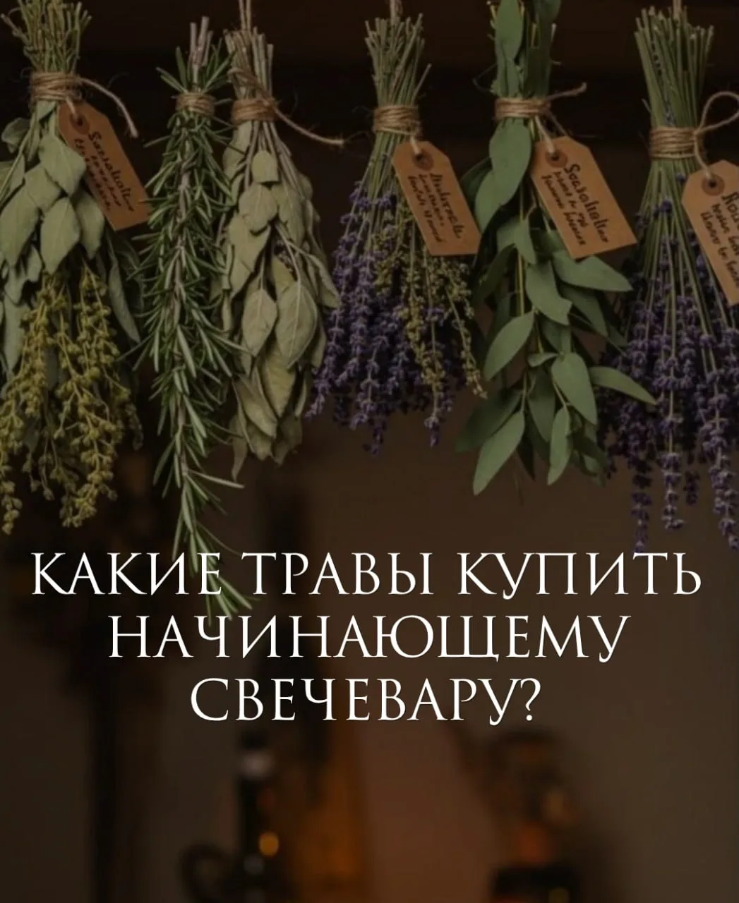 БЕСПЛАТНЫЙ УРОК НА ОТКРЫТИЕ ДОРОГ