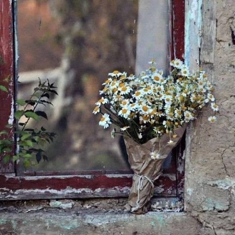 Пусть к нам приходят только 
Добрые Вести...

Уголок Душевного Тепла ❤️