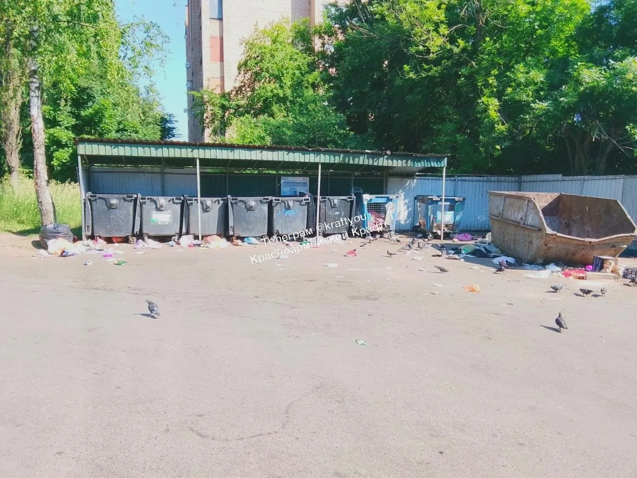 💩 Почему мусоровоз оставляет после себя такой срач?

Жалуются в боте:

Добрый день! За «Пятёрочкой»