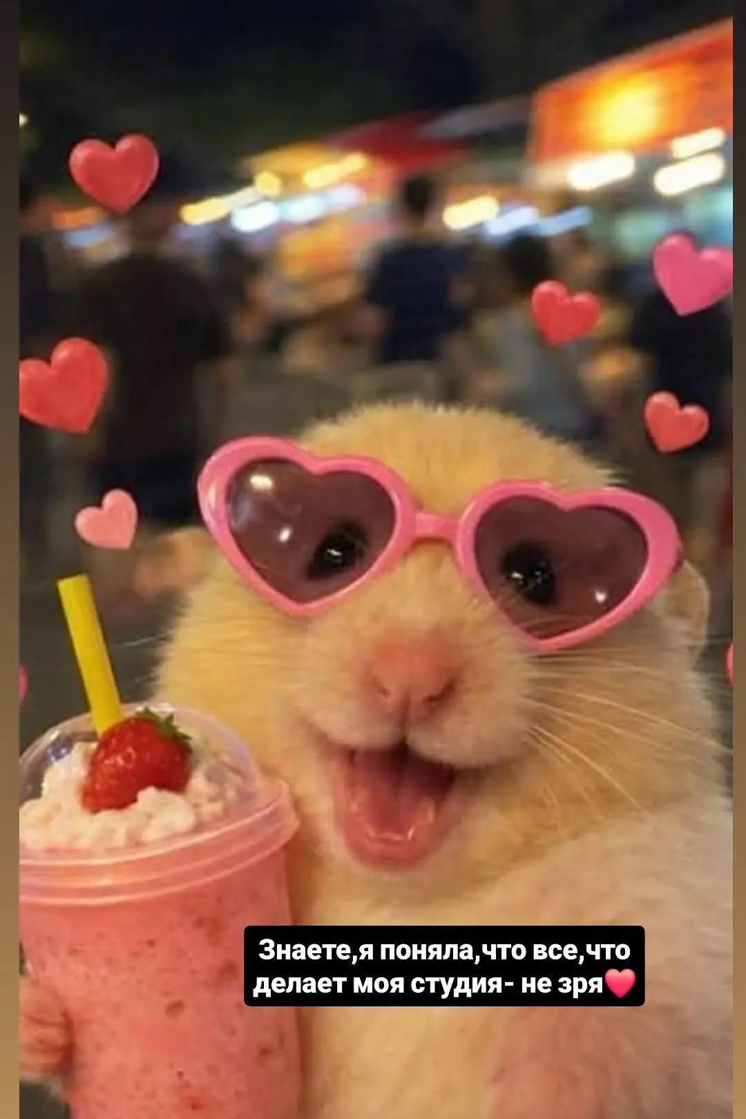 Люблю вас мои пузатики❤️