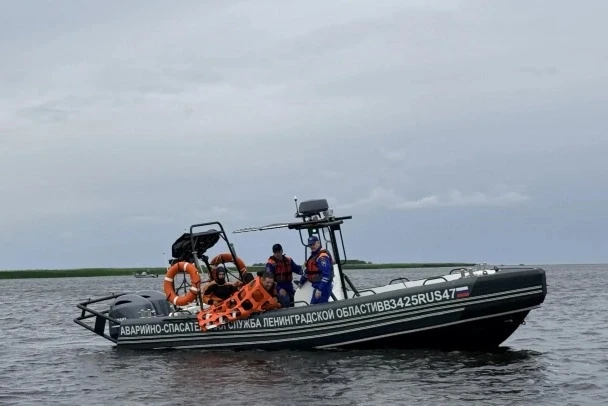 Уровень воды в реках Ленобласти упал ниже критической отметки