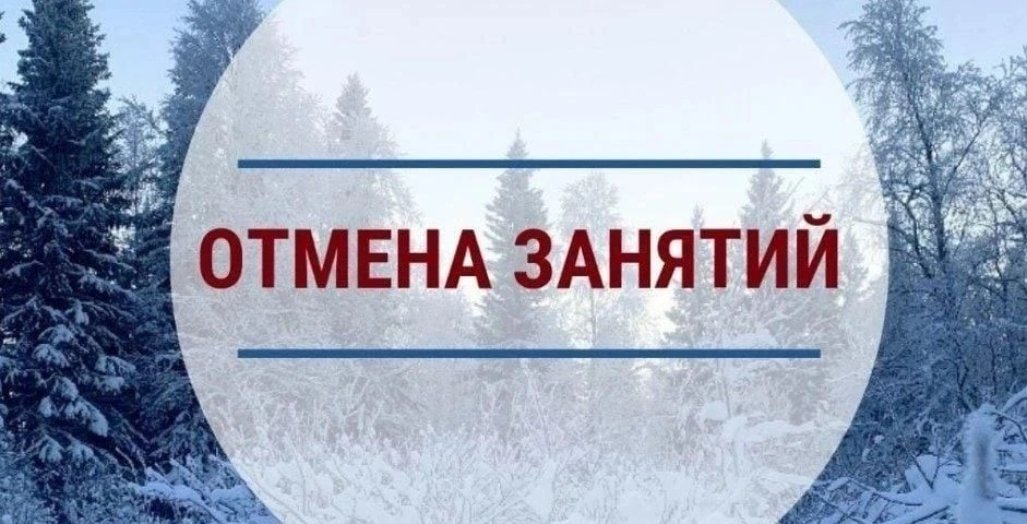 Управление образования администрации МО «Мелекесский район» Ульяновской области информи...