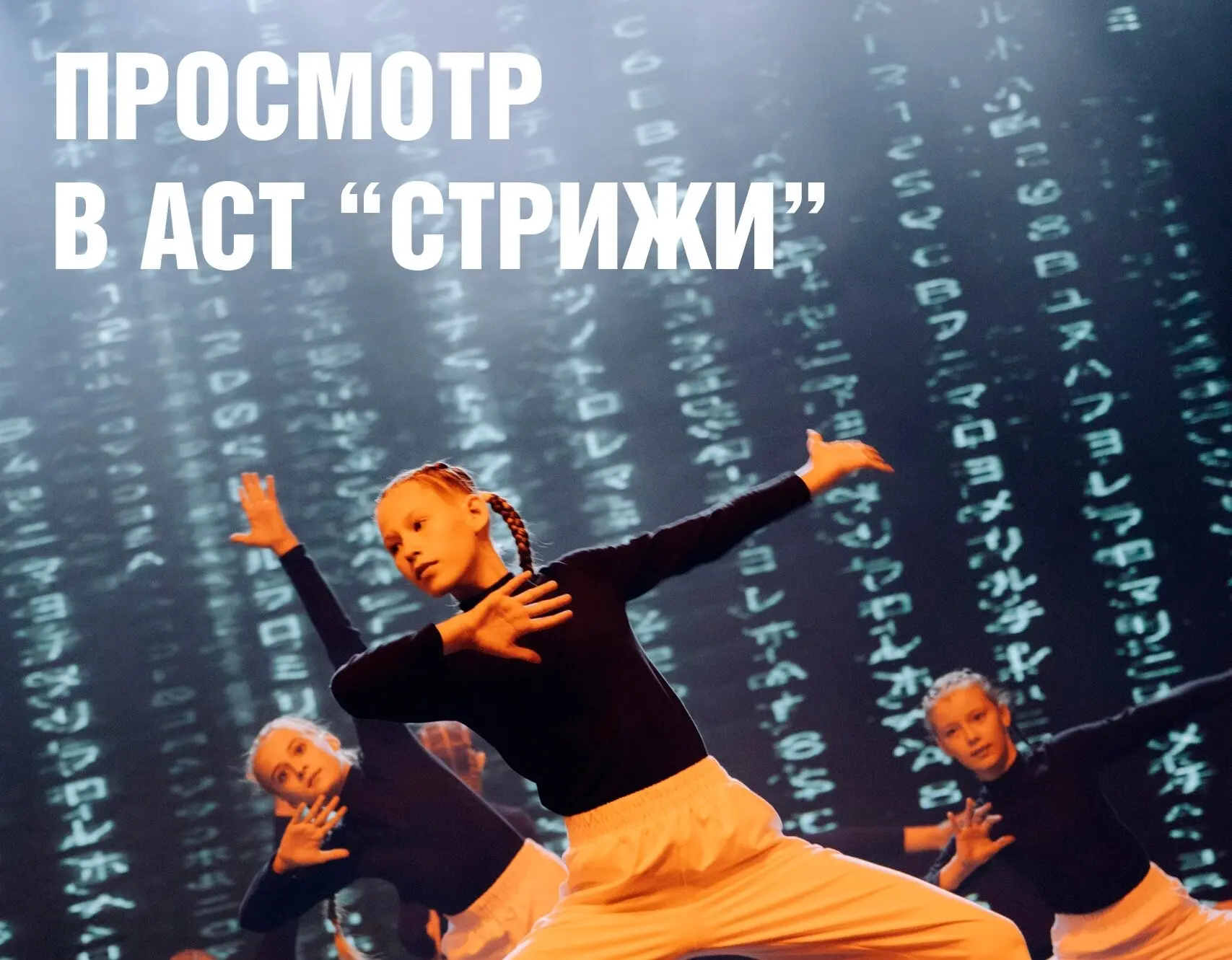 Просмотр в ансамбль «Стрижи» пройдёт сегодня, 27 августа, в МЦ «НАШ»