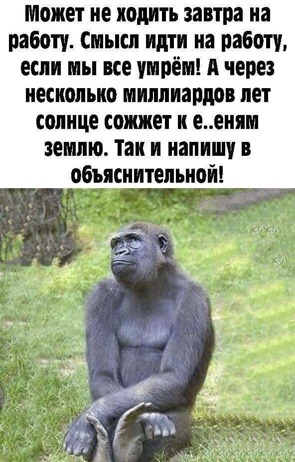 Улётные приколы - Подписаться