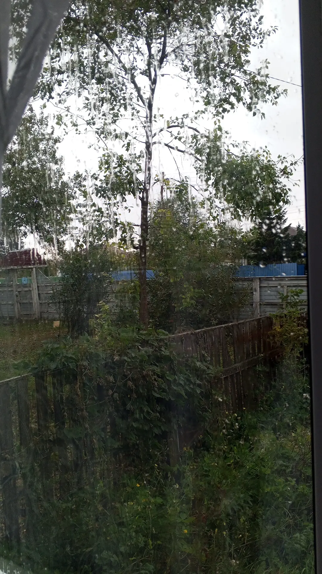 Пошёл дождь ☔ значит дома пребираю кртошку
