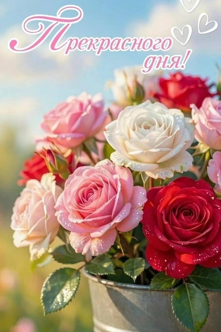 🌷 Открытки подписаться 👈