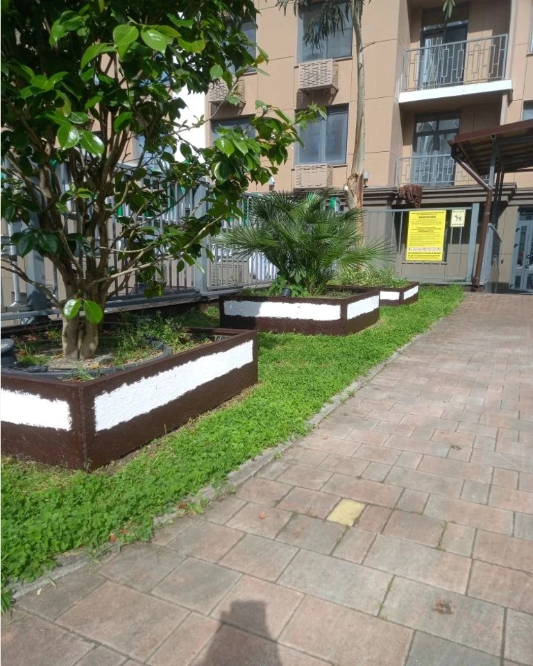 🌿 БЛАГОУСТРОЙСТВО