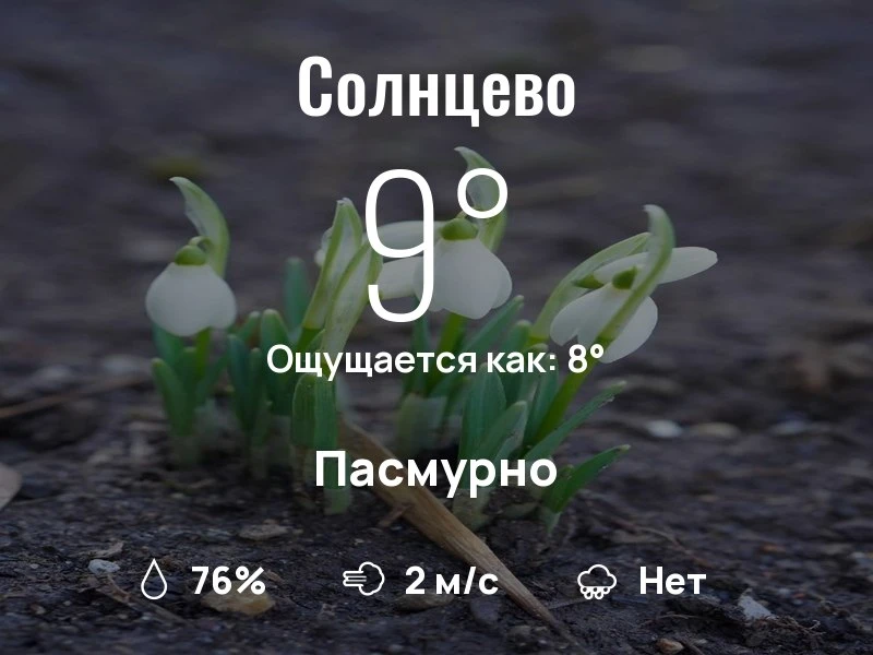 Что с погодой в Солнцево?