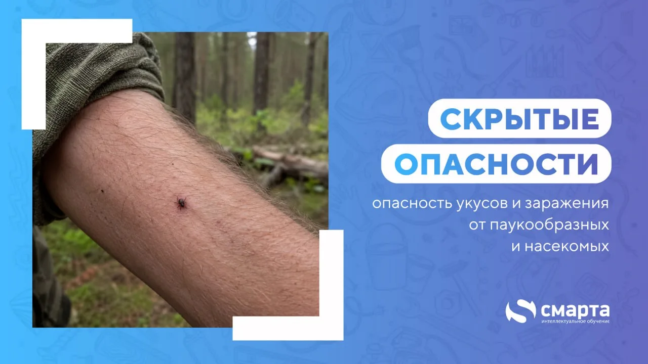🧨 Скрытая опасность: укус, который может изменить всю жизнь

Клещи, комары, блохи, москиты — не про