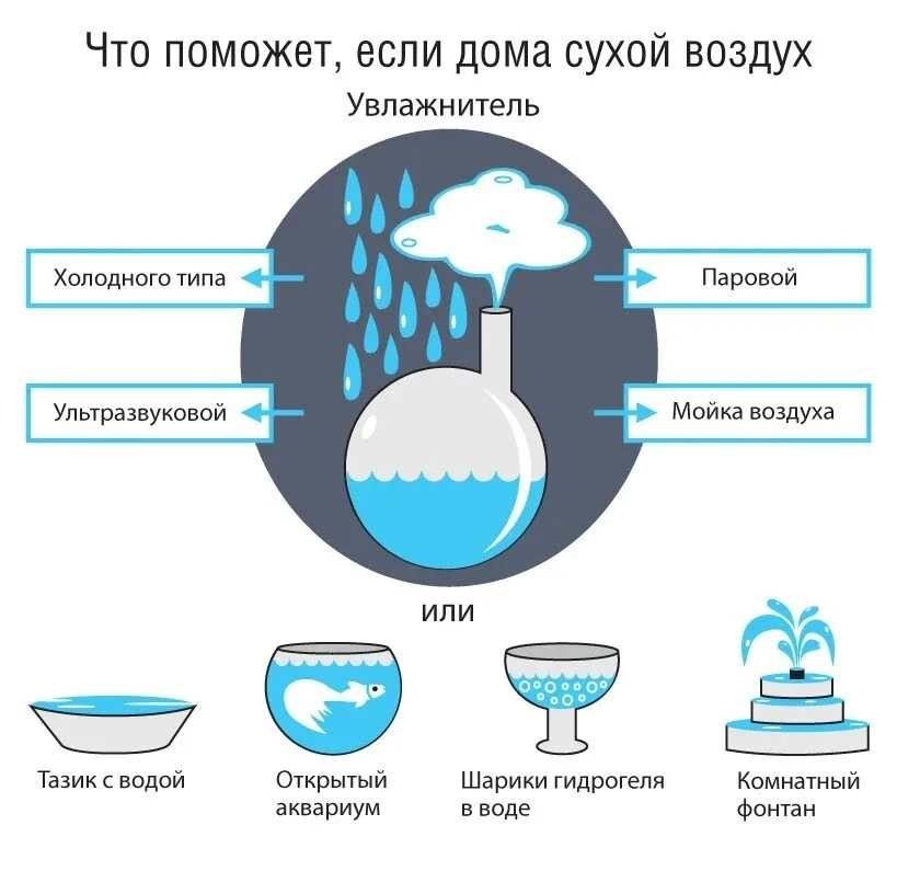 🌨С началом отопительного сезона воздух в квартирах становится сухим, а это прямая нагр...