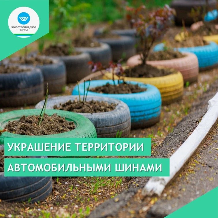 Картина, знакомая многим с детства: старая автомобильная покрышка 🚗, выкрашенная в яркий цвет, напо