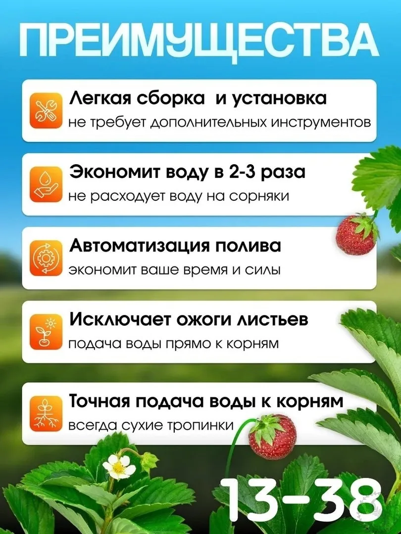 https://vk.com/photo-184814919_493322966