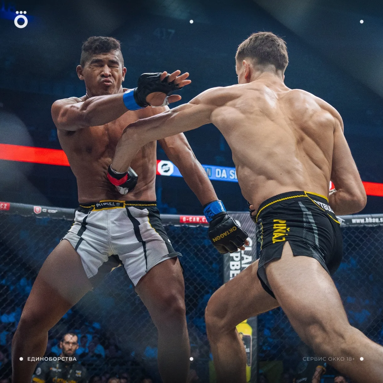 Лови результаты турнира OKTAGON MMA 90 🔥

👊 🏆 Уилл Флёри победил Касима Араса нокаутом в первом р