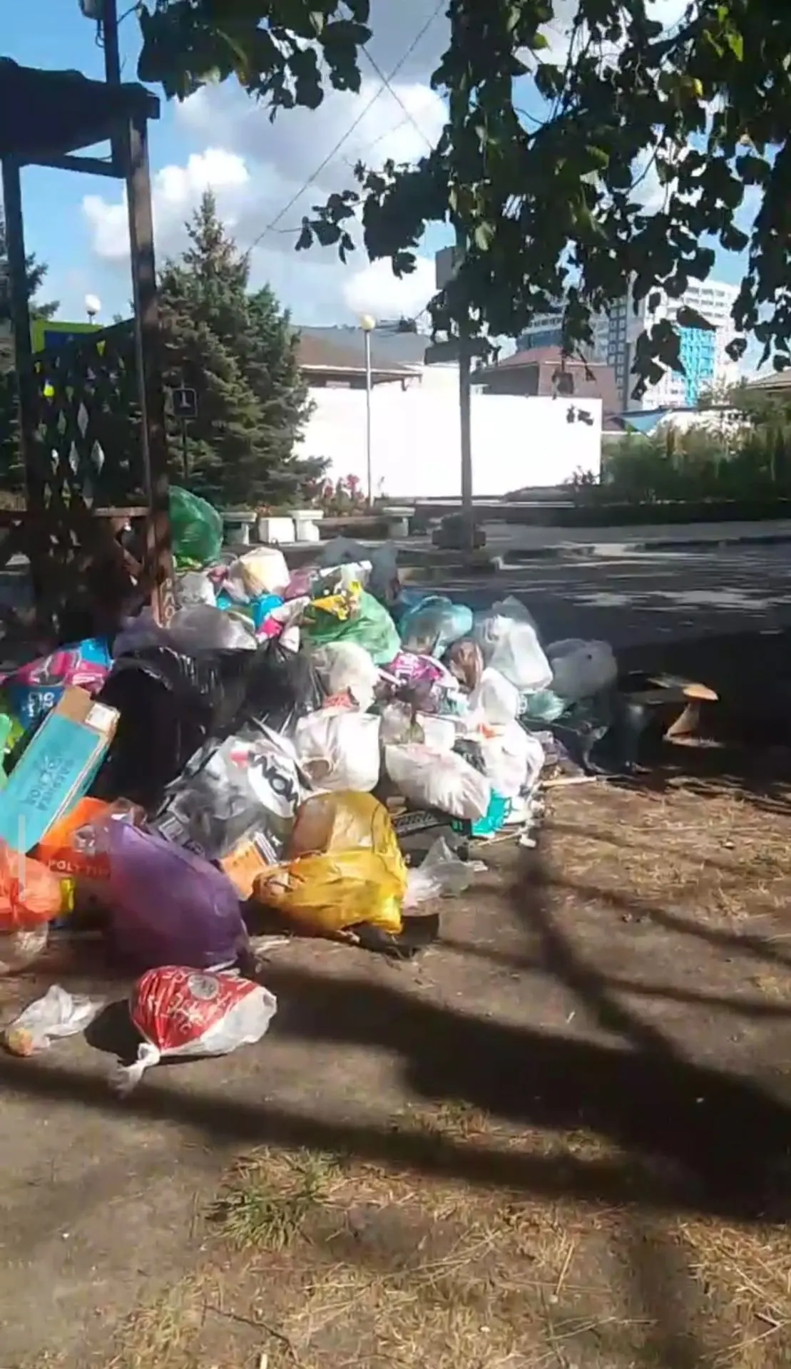 Мусорный протест или банальная лень!