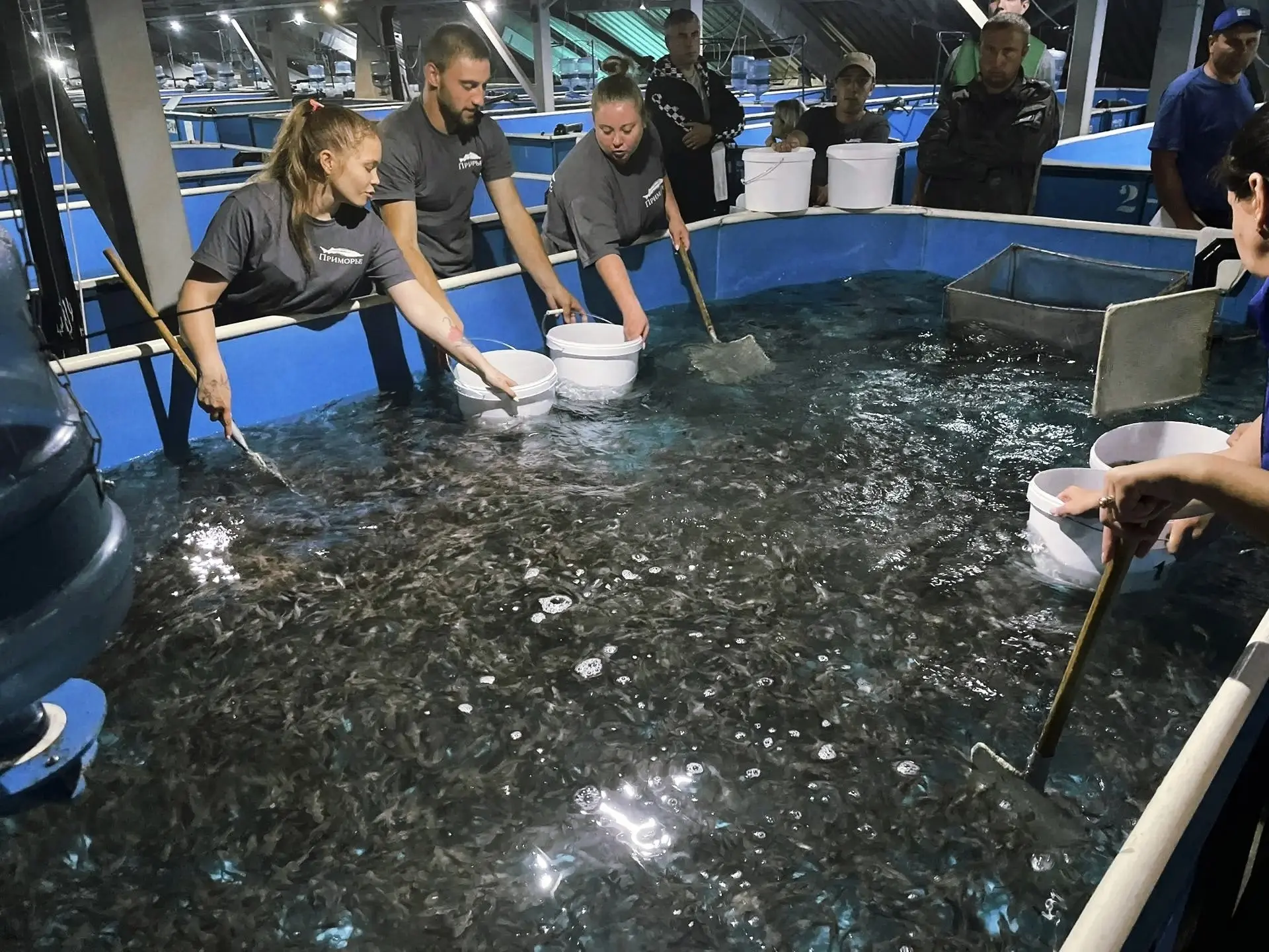 Выпустили в Енисей почти 5500 маленьких осетров! 🐟

Пока на острове Молокова в Красноярске идет мас