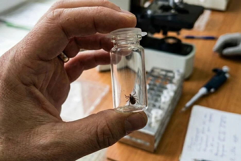 🕷️ Более тысячи тамбовчан пострадали от укусов клещей с начала сезона

В медицинские организации Та