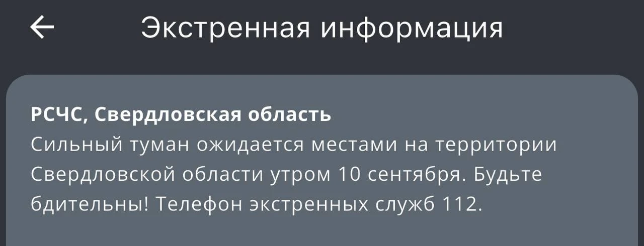 ❗️МЧС предупреждает, что местами на регион опустился туман.
