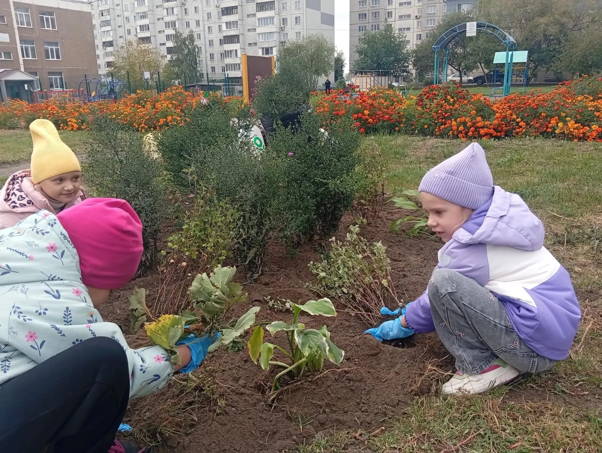 🌱 «Осенний десант»: сажаем будущее вместе!