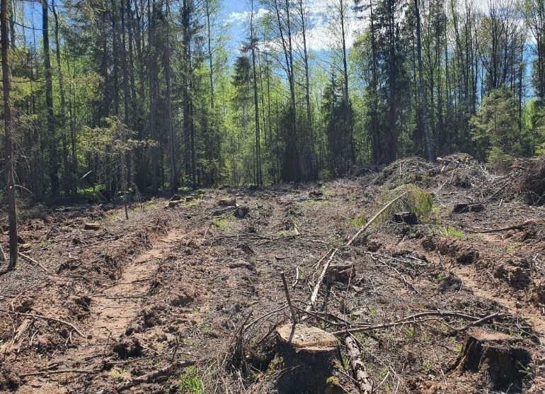В Кировской области завершено расследование уголовного дела в отношении троих участников организован