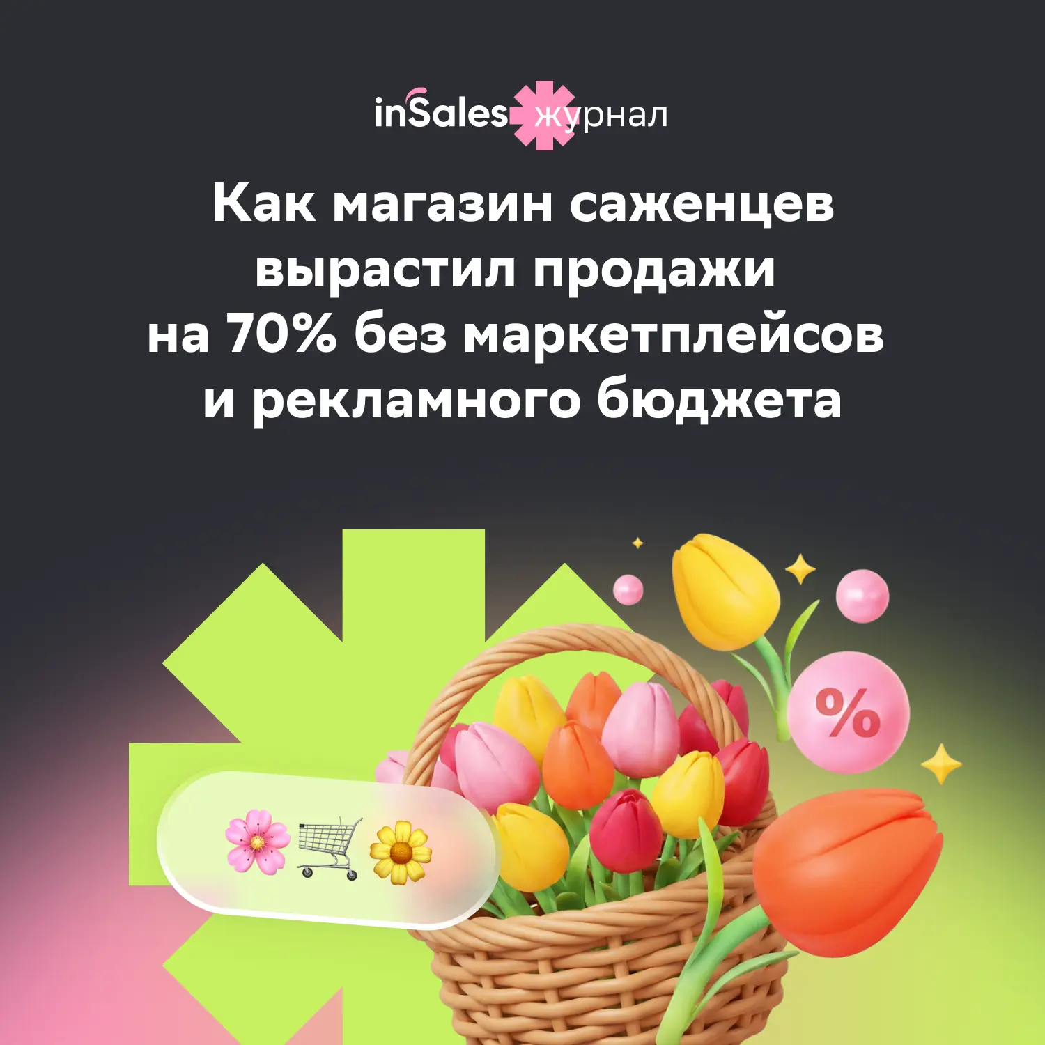 Мы нашли интернет-магазин, которому вообще не нужны маркетплейсы. Да, такие еще есть 🙌
