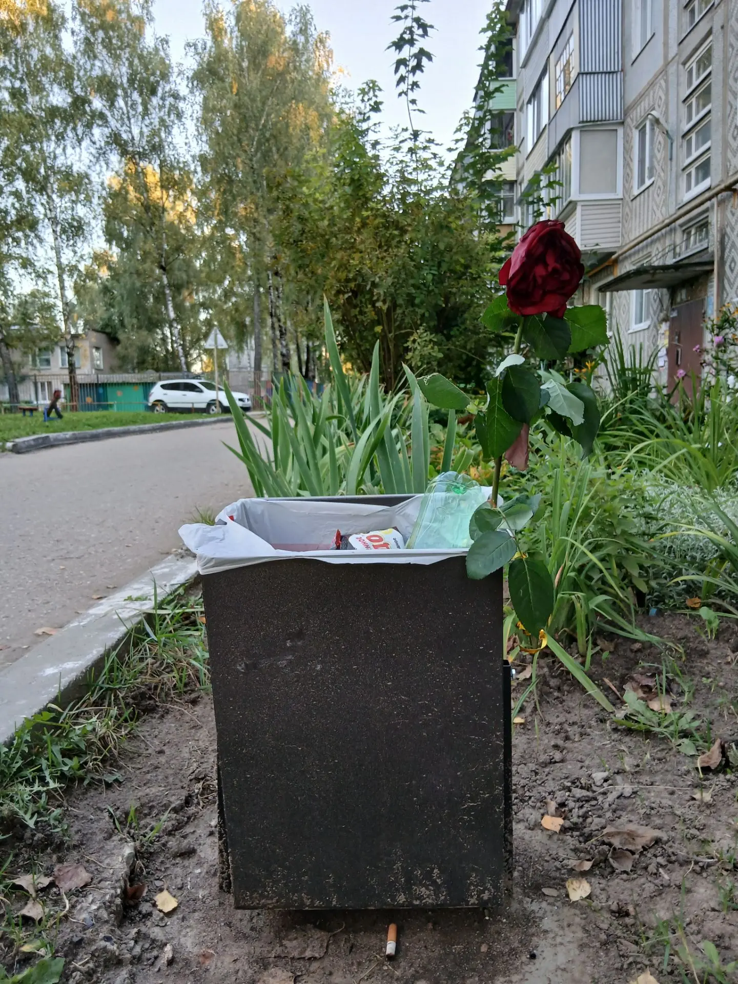 🥀Улица Гагарина, 9. Бедная розочка, вместо хрустальной вазы оказалась в урне...
