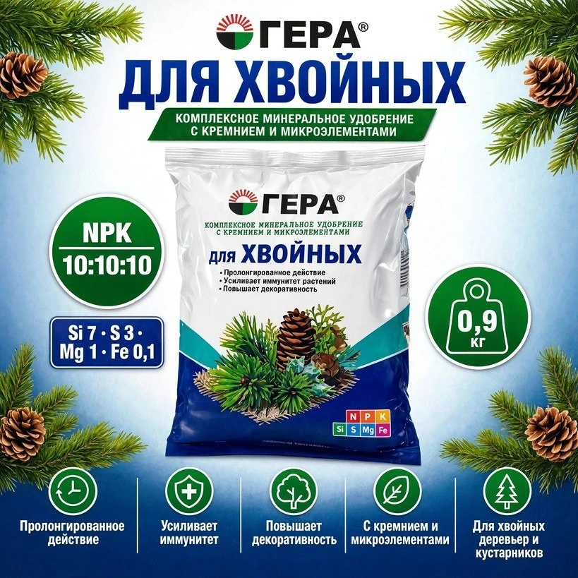 🌲 Хвойные на участке желтеют или редеют иголками к концу лета — а вы думаете, что это ...