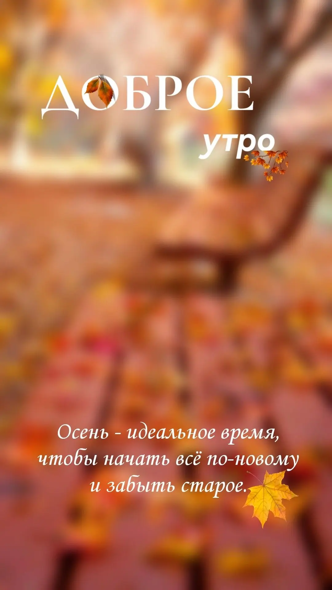 Есть в осени первоначальной короткая, но дивная пора 🍁✨.☕