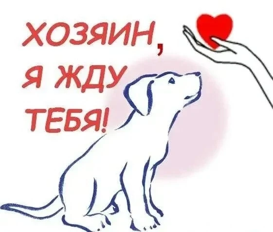 💥💥💥У нас новенький на пристрой💥💥💥