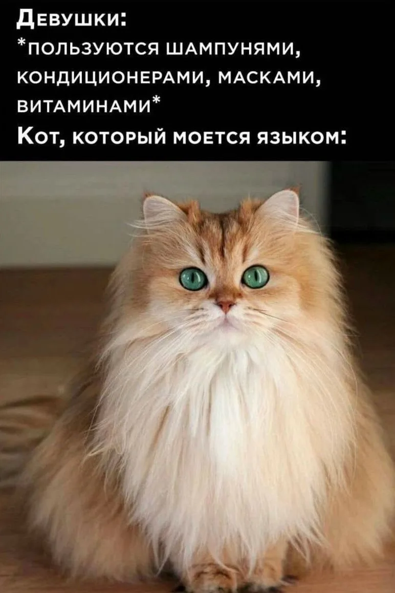 Жизнь несправедлива 😆🤣
