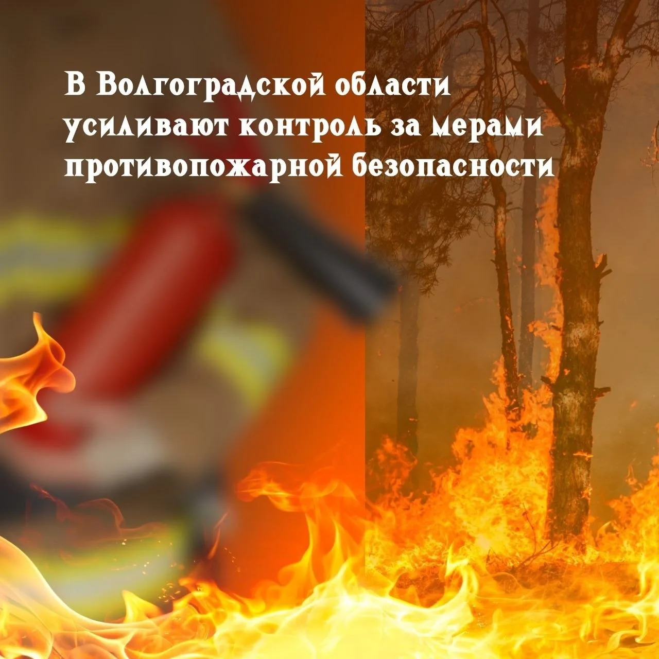 В Волгоградской области усиливают контроль за мерами противопожарной безопасности 🔥  Из-за жаркой и 