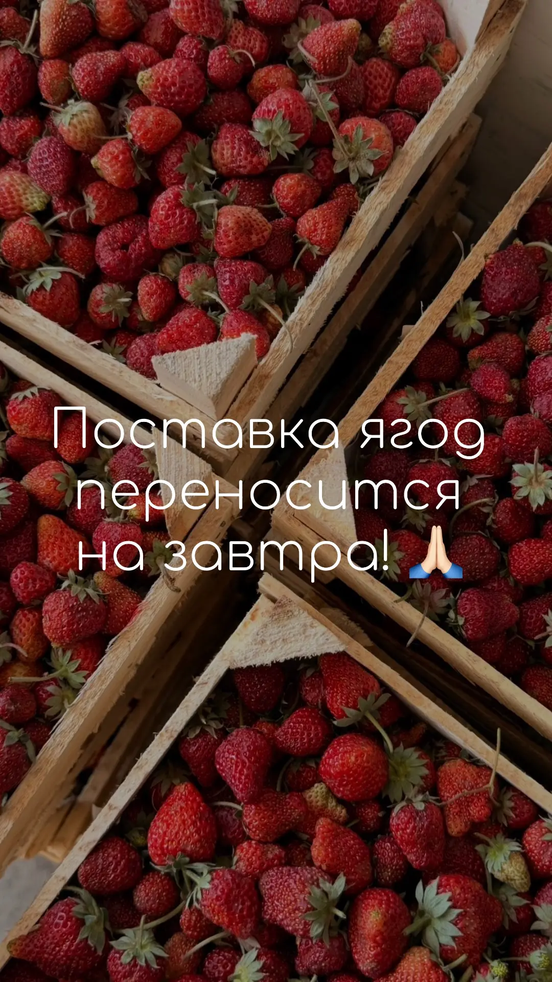 Дорогие друзья, сообщаем, что поставка ягод задерживается — фура находится в пути.   Поэтому сегодня