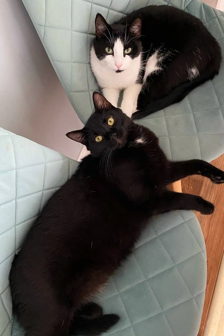 #из_нового_дома