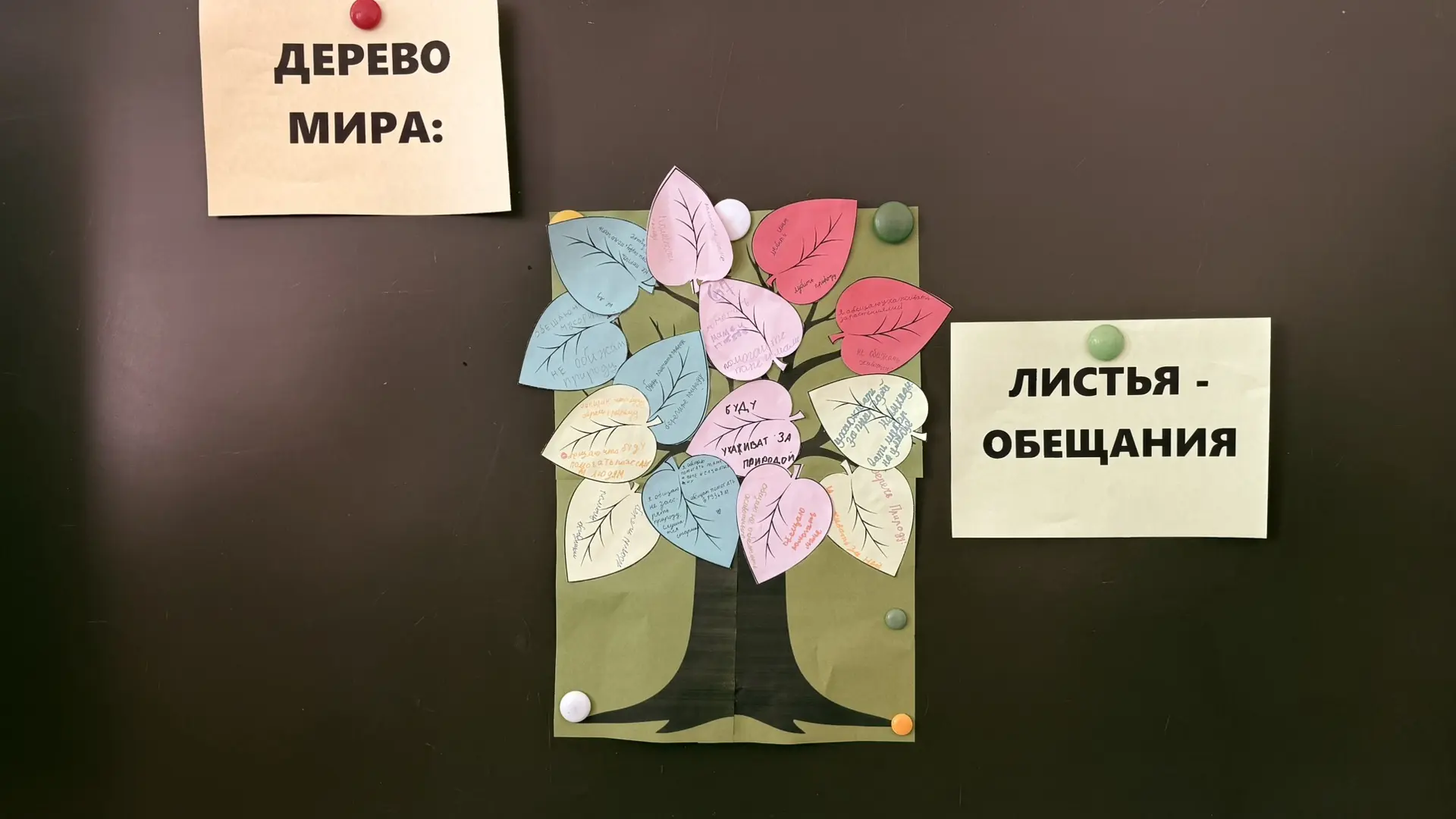 «Дерево мира»! 🌳🕊