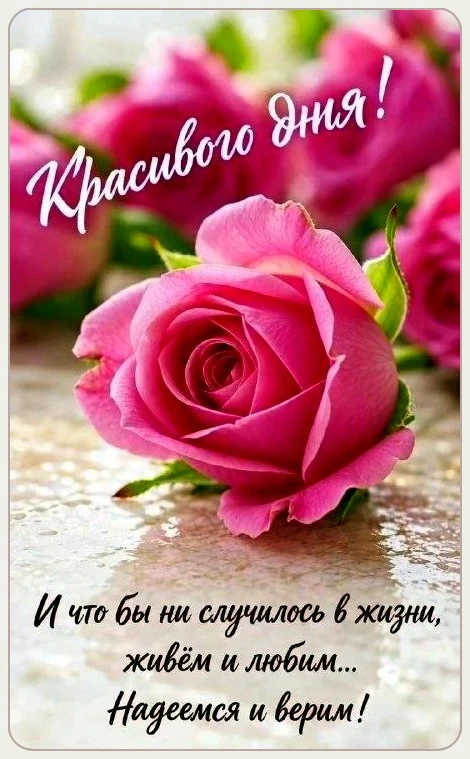 Милые открытки 😊 подписаться
