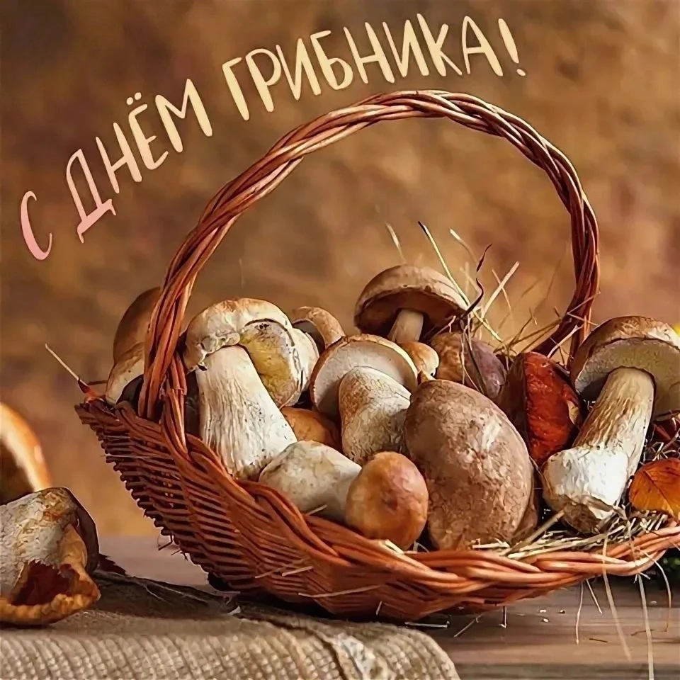 Наши каналы: Открытки и поздравления 🌷 | Дача | Огород | Сад 🏡 | Природа нашего мира 🌿