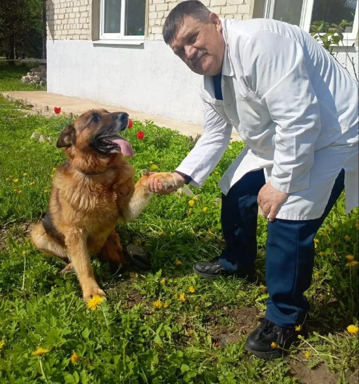⚡ Владимир Путин присвоил костромскому ветеринару звание заслуженного врача России   Почетное звание