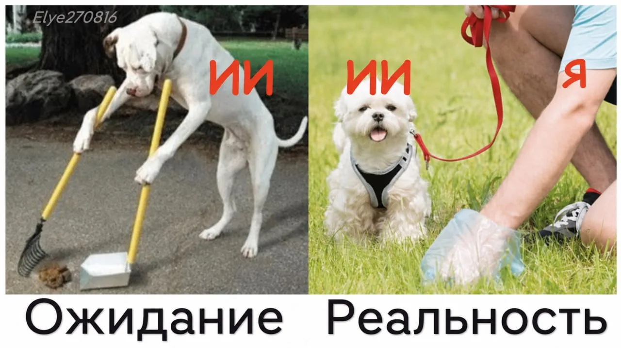 Фото