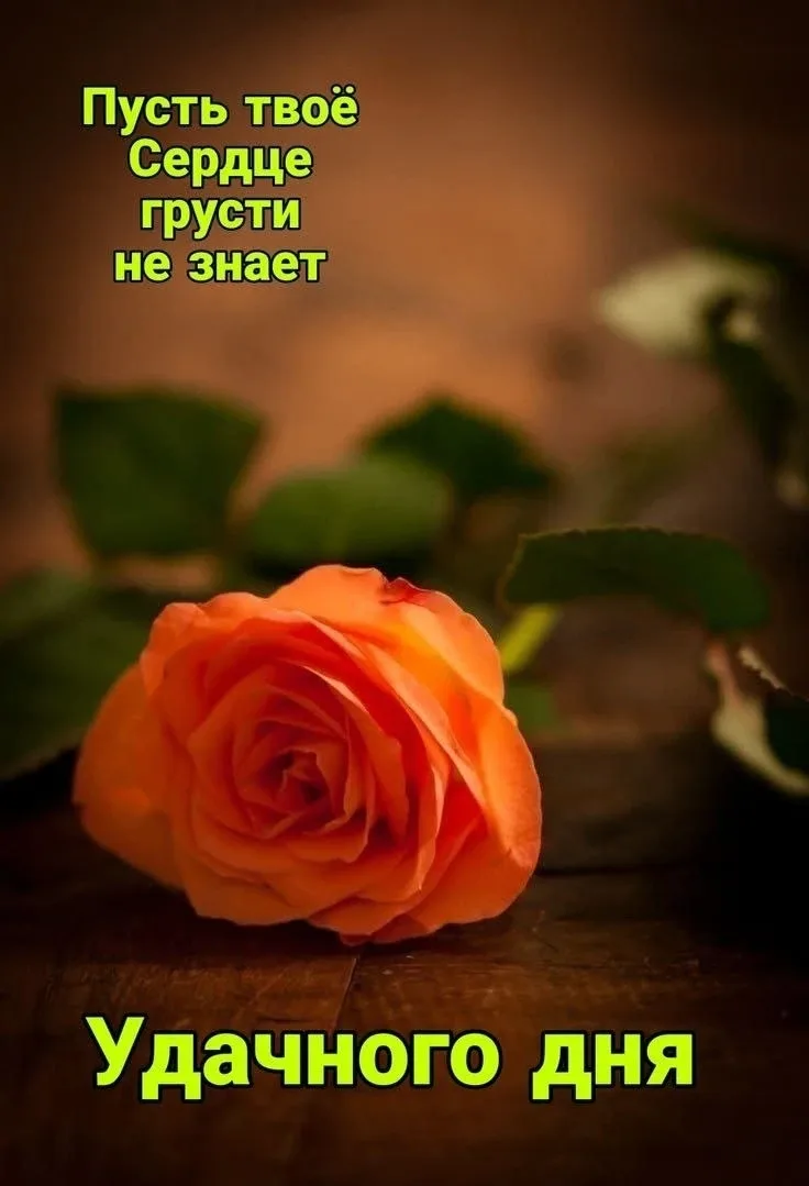 🥰Ставьте реакции и делитесь открыткой с близкими ❤️