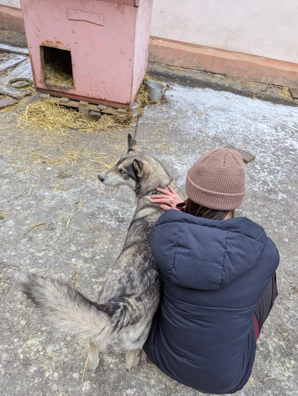 🐾 5 декабря в нашей школе состоялась благотворительная акция по сбору корма для бездомных животных «
