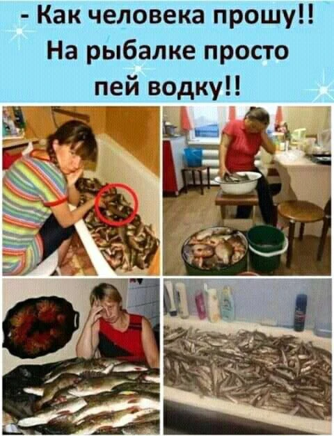 Улётные приколы - Подписаться