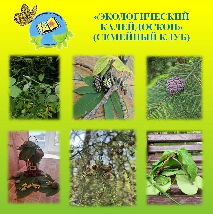 🌈🌿На базе МКУ ДО «Станция юных натуралистов» среди участников семейного клуба «Эколог...