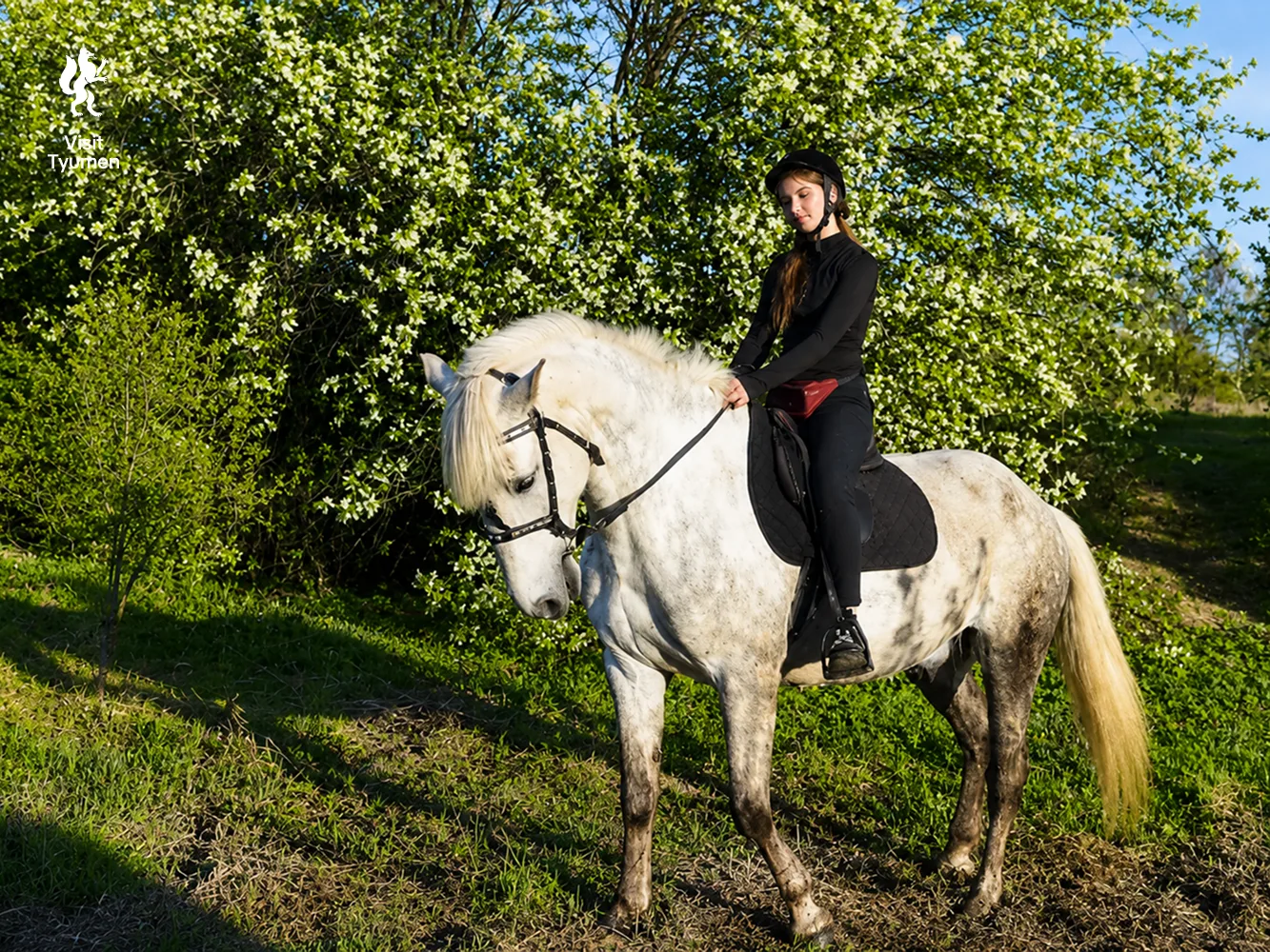 🐎 Седлаем маршрут по Заводоуковску!