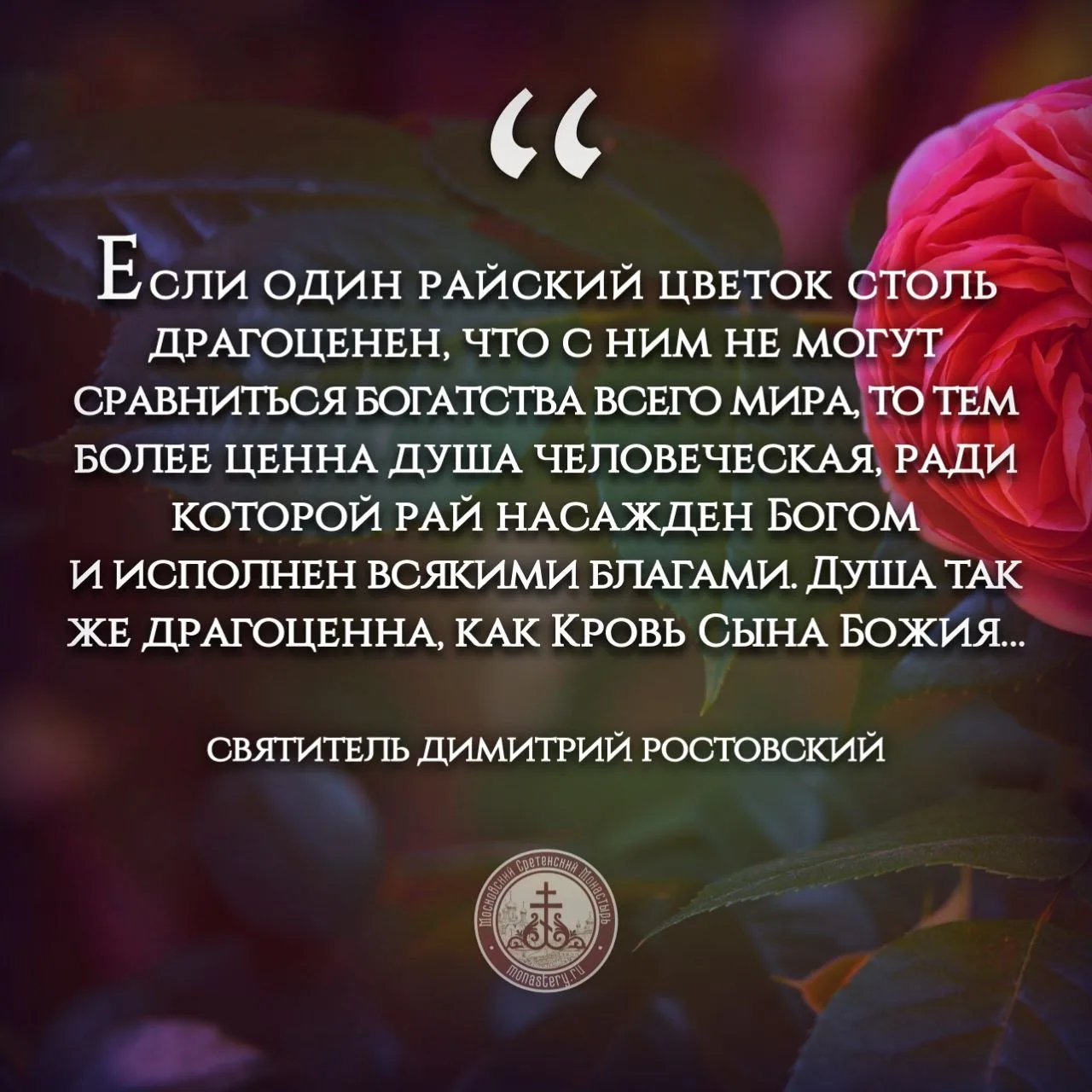 #ЦитатаДня