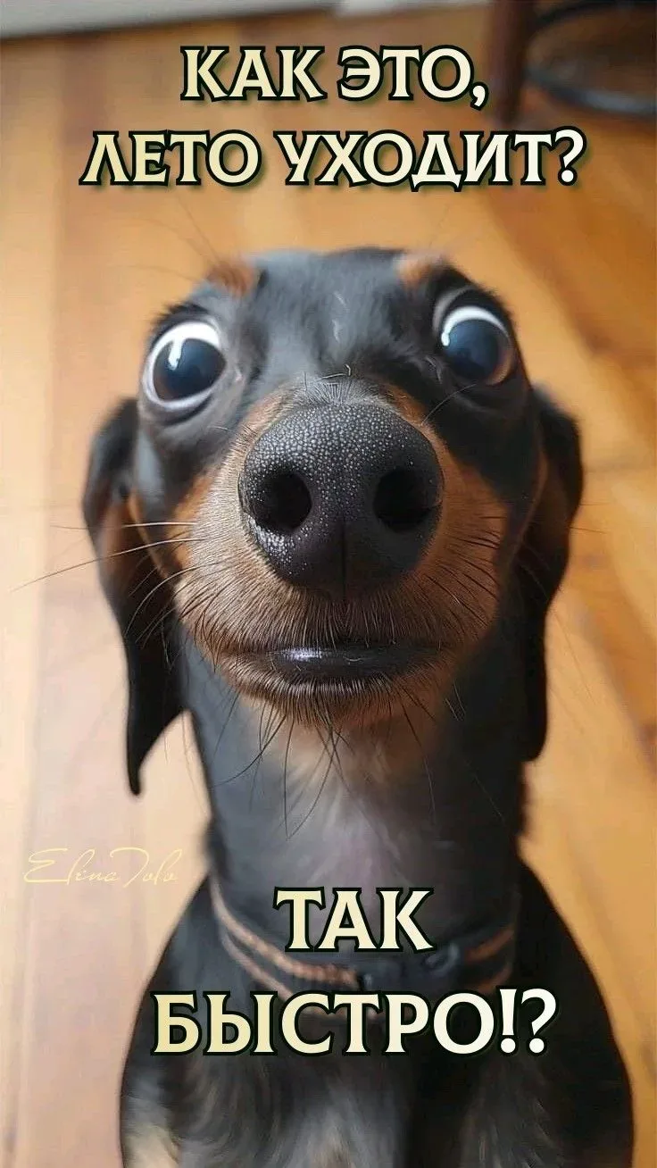 Лето ОСТАНОВИСЬ!!!!